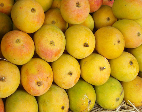 indian-originated-sweet-juicy-fresh-yellow-devgad-alphonso-mango-hapus--890 (1).jpg